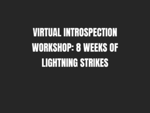 Virtual Introspection Workshop: 8 weeks of Lightning Strikes